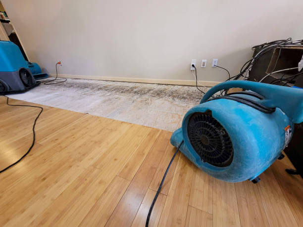 Professional Structural Drying technician working in Leavenworth, KS